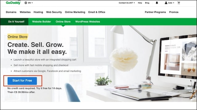 GoDaddy Online Store