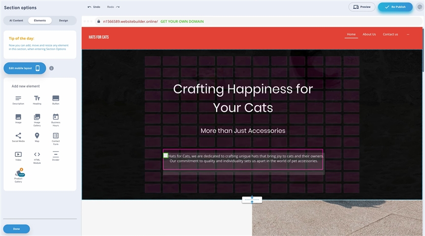 Ionos